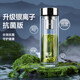 特美刻（TOMIC）銀離子抗菌玻璃杯雙層防燙水杯茶水分離杯泡茶杯商務辦公生日禮物 鋼本色【304茶隔】400ml