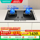 華帝（VATTI）【小飛碟x小飛翼】爆款TOP1 燃氣灶 5.2KW 70%熱效率 天然氣嵌入式臺式 煤氣灶雙灶灶具 爆炒灶 5.2三環(huán)烈焰309丨天然氣 - i10309