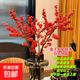 春節裝飾禮物鮮花年宵花精品進(jìn)口北美冬青鮮切枝水培植物鮮花束果 北美冬青鮮切枝高40-45cm《5支》