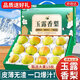 京地達山東玉露香梨子新鮮水果禮盒凈重9斤單果260g+源頭直發(fā)包郵