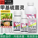 日曹甲基托布津 500克/升甲基硫菌靈炭疽輪紋稻瘟紋枯農藥殺菌劑 1000ml