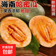 正宗海南哈密瓜爆甜新鮮現摘香甜脆蜜瓜當季新鮮冰淇淋網(wǎng)紋哈密瓜 香甜哈密瓜帶箱5-6斤【凈重4.5-5斤】