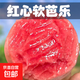 京喜加廣東軟心紅心番石榴新鮮芭樂(lè )香軟糯當季大果紅心芭樂(lè )新鮮低糖水果 紅心軟心芭樂(lè )帶箱1斤凈重0.8斤