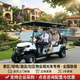 高爾夫球車(chē)四座4人6座兩座坐出口小型旅游觀(guān)光電動(dòng)車(chē)四輪酒店擺渡巡邏看房電瓶車(chē)拉貨球場(chǎng)高爾夫車(chē) C款4+2座鉛酸高配