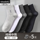 莫代爾襪子男士純棉商務(wù)襪四季吸汗100%全棉抗菌防臭薄款黑色中長(cháng)筒襪 【100%純棉抗菌】混色5 均碼 【39-44碼】