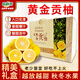品鮮將黃金貢柚湖北懷化柑橘柚子春香柚黃金柑時(shí)令新鮮水果年貨禮盒 貢柚禮盒 9斤 果徑75mm