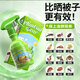 骉祥床虱殺蟲(chóng)劑床上專(zhuān)用藥滅臭蟲(chóng)跳蚤家用室內除蟲(chóng)子克星神器驅蟲(chóng)噴霧 寶寶安心睡 特惠裝（3瓶裝）可直接用于床鋪
