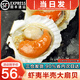 海澤鮮 鮮凍蝦夷半殼特大扇貝1000g  海鮮燒烤食材超大號蒜蓉粉絲扇貝肉 【蝦夷大扇貝】 400g(凈重)  -450g