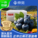 京覓云南藍莓 4盒 中果15mm+裝100g/盒  生鮮年貨水果源頭直發(fā)