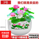 無(wú)孔樹(shù)脂花盆綠植盆栽加厚仿陶瓷水培綠植銅錢(qián)草碗蓮睡蓮荷花盆 3號大口徑34.5cm【加厚款送贈品 2個(gè)盆【無(wú)孔】