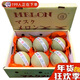 日本引種冰淇淋網(wǎng)紋蜜瓜當季新鮮現摘現發(fā)香甜蜜瓜水果禮盒 甄選果-6枚(精選原箱裝）
