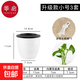 花盆/自吸水A1P50-自動(dòng)吸水花盤(pán)免澆水塑料透明懶人花盆簡(jiǎn)約園 升級款小號3套 如圖所示