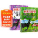套裝2冊 新黑馬閱讀 小學(xué)五年級現代文課外閱讀理解+古詩(shī)文課外閱讀理解 小學(xué)語(yǔ)文閱讀理解專(zhuān)項強化訓練答題技巧答題模板必刷題同步練習冊