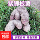 【地標特產(chǎn)】正宗贛南腳板薯紫人參山藥新鮮紫山藥紅薯直播間 腳板薯 5斤凈重