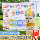 隨燦 寵物生日帽子圍兜可愛(ài)拍照裝飾口水巾字母圍巾狗狗貓咪生日派對 寵物生日掛布1個(gè)【約70×100cm】