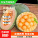 【東東農場(chǎng)專(zhuān)供】西州蜜瓜水果脆甜多汁軟糯香甜蜜哈密瓜 海南哈密瓜帶箱5斤凈重4.5斤