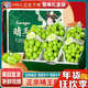鮮力寶云南晴王陽(yáng)光玫瑰葡萄 新鮮陽(yáng)光玫瑰香印無(wú)籽提子孕婦水果整箱 精選一級果  3斤【無(wú)禮盒】