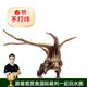 云峰海瑞沉木水族箱魚(yú)缸造景裝飾天然 窈窕木 莫斯樹(shù) 水草大小號樹(shù)形流木 造型隨機sss超小號（5-10CM）