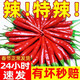 農大姐妹小米椒 新鮮特辣小米辣 農家自種小紅辣椒 小米紅辣椒 新鮮小米辣 正常發(fā)貨5斤現摘特辣