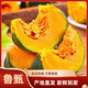魯甄貝貝南瓜 粉糯板栗瓜 新鮮蔬菜 4.5斤 單果250g+4-8個(gè)