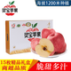 京覓 靈寶高原紅富士蘋(píng)果 15枚單果200g+禮盒 新鮮水果脆甜生鮮