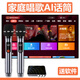適用于小米紅米電視USB無(wú)線(xiàn)麥克風(fēng)家庭K歌投影儀唱歌設備藍牙話(huà)筒 普通款+2個(gè)充電麥