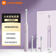 米家小米電動(dòng)牙刷T302 聲波震動(dòng) IPX8級防水4大刷牙模式 全效清潔 低靜音 情人節禮物 T302(霜紫色)