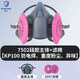 松工（songgong）電焊防塵面具 防工業(yè)粉塵刷噴漆面罩 防工業(yè)毒氣污染電焊口罩面罩過(guò)濾器 呼吸道保護 7502主體+1包2097