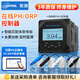 聯(lián)測（LONTROL）工業(yè)在線(xiàn)pH計檢測儀控制器防爆污水質(zhì)測試儀 ORP值電極探頭傳感器 【控制器】高級款6.5