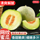 京地達海南網(wǎng)紋瓜蜜瓜甜瓜凈重8斤單果1000g+新鮮應季水果源頭發(fā)包郵