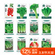 北蔬各種蔬菜種子生菜草莓香菜小香蔥黃瓜陽(yáng)臺四季菜籽 12種蔬菜種子