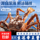 帝王蟹鮮活冷凍俄羅斯皇帝蟹花椒蟹超長(cháng)蟹腿春節年貨送禮年夜飯 【活凍】帝王蟹5-5.5斤/只