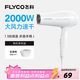 飛科（FLYCO）電吹風(fēng)機家用發(fā)廊大功率2000W速干恒溫便攜可折疊白色FH6232
