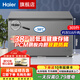 海爾（Haier）冰柜大容量-38度超低溫全冷凍冰柜家用冷藏冷凍兩用速凍冷柜300/400/500升以上 369升巨省電丨-38℃丨369 369L
