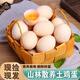 南步散養土雞蛋【現撿速發(fā)】新鮮農家雞蛋草雞蛋正宗柴雞蛋笨雞蛋初生 30枚裝 【單枚40-45g】約1200g