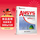ANSYS Workbench在壓力容器分析中的應用與技術(shù)評論（萬(wàn)水ANSYS技術(shù)叢書(shū)）