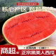 春福樂(lè )正宗黑美人西瓜【產(chǎn)地直發(fā)】當季新鮮脆甜水果西瓜生鮮特產(chǎn)整箱 凈重5-6斤【1個(gè)裝】定制防撞包裝