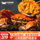 【活蟹】陽(yáng)澄部落大閘蟹鮮活禮盒裝大只螃蟹年貨禮盒生鮮 大閘蟹 公4.5 母3.5兩/只 4對8只