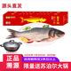 查干湖魚(yú)【買(mǎi)大魚(yú)送大鍋】查干湖有機胖頭魚(yú)18-20斤/條春節禮盒源頭直發(fā)