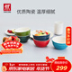 雙立人（ZWILLING）碗陶瓷碗套裝家用湯碗面碗防滑多用碗家用餐具套裝 彩虹碗6件套