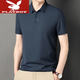 花花公子（PLAYBOY）2024夏季男士短袖T恤新款冰絲polo衫翻領(lǐng)休閑商務(wù)爸爸裝T上衣男裝 163 藏青色 XL