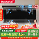 Haotaitai油煙機一級能效家用頂側雙吸大風(fēng)量低噪揮手智控自清洗油煙機CXW-300-DC8-YZ