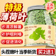 御養樂(lè )特級品質(zhì)薄荷葉精選干薄荷茶薄荷顆粒新鮮可食用泡水喝30g 特級品質(zhì)薄荷葉30g/罐