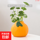 橘子陶瓷小花瓶擺件客廳插花水培植物鮮花綠蘿銅錢(qián)草桌面裝飾品 SJH-橘子插花瓶-中號 陶瓷