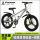 鳳凰（Phoenix）兒童山地自行車(chē)5-16歲女男孩減震變速22寸灰色 適合身高135-160cm