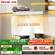 林內（Rinnai）油煙機【留白】歐式頂吸白色抽油煙機22m3大吸力小戶(hù)型一級能效 NR12EA(W)