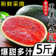 春福樂(lè )正宗脆甜西瓜當季新鮮水果黑美人西瓜生鮮云南特產(chǎn)整箱 凈重6-7斤【1個(gè)裝】定制防撞包裝