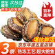 彈指鮮生新鮮熟凍大鮑魚(yú)三去免處理鮮活冷凍貝類(lèi)去內臟年貨節送禮 【3袋】鮮捕熟凍大號9-10頭鮑魚(yú)凈重500g*3