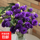 無(wú)刺玫瑰洋桔梗鮮切花插花捧花家庭水養云南昆明直發(fā)20-30個(gè)花苞 紫色