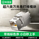 畢亞茲 超六類(lèi)萬(wàn)兆網(wǎng)絡(luò )模塊 金屬屏蔽180°度免打壓線(xiàn)CAT6.A加厚50U鍍金RJ45水晶頭插座86面板網(wǎng)口線(xiàn)模塊